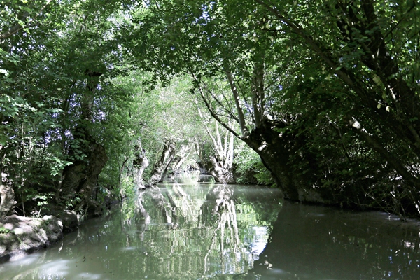 Marais Poitevin: Laisser Le Temps Au Temps | Vacances En Camping En ...